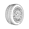 wheel-icon